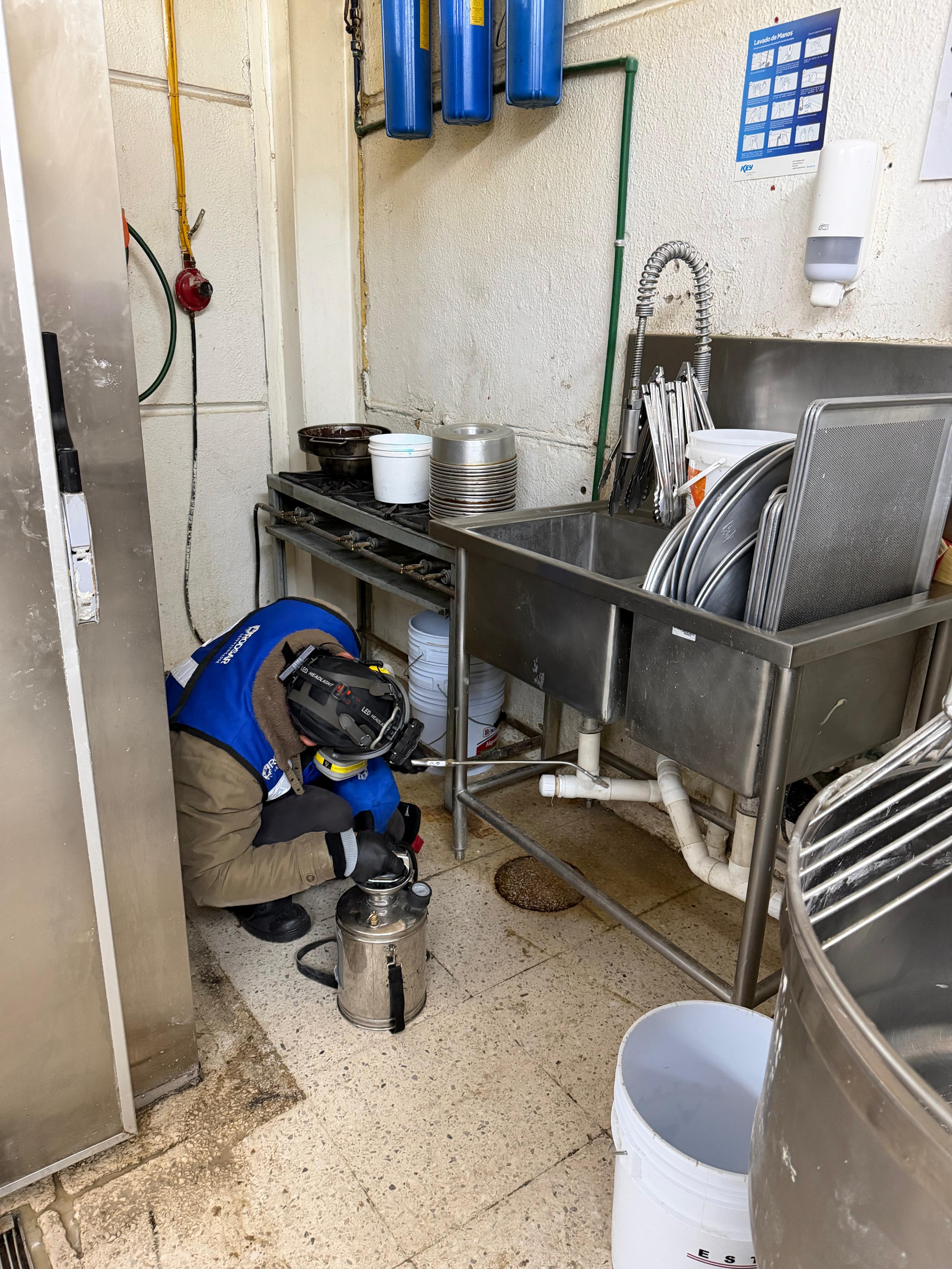 Control de plagas en cocinas y bodegas