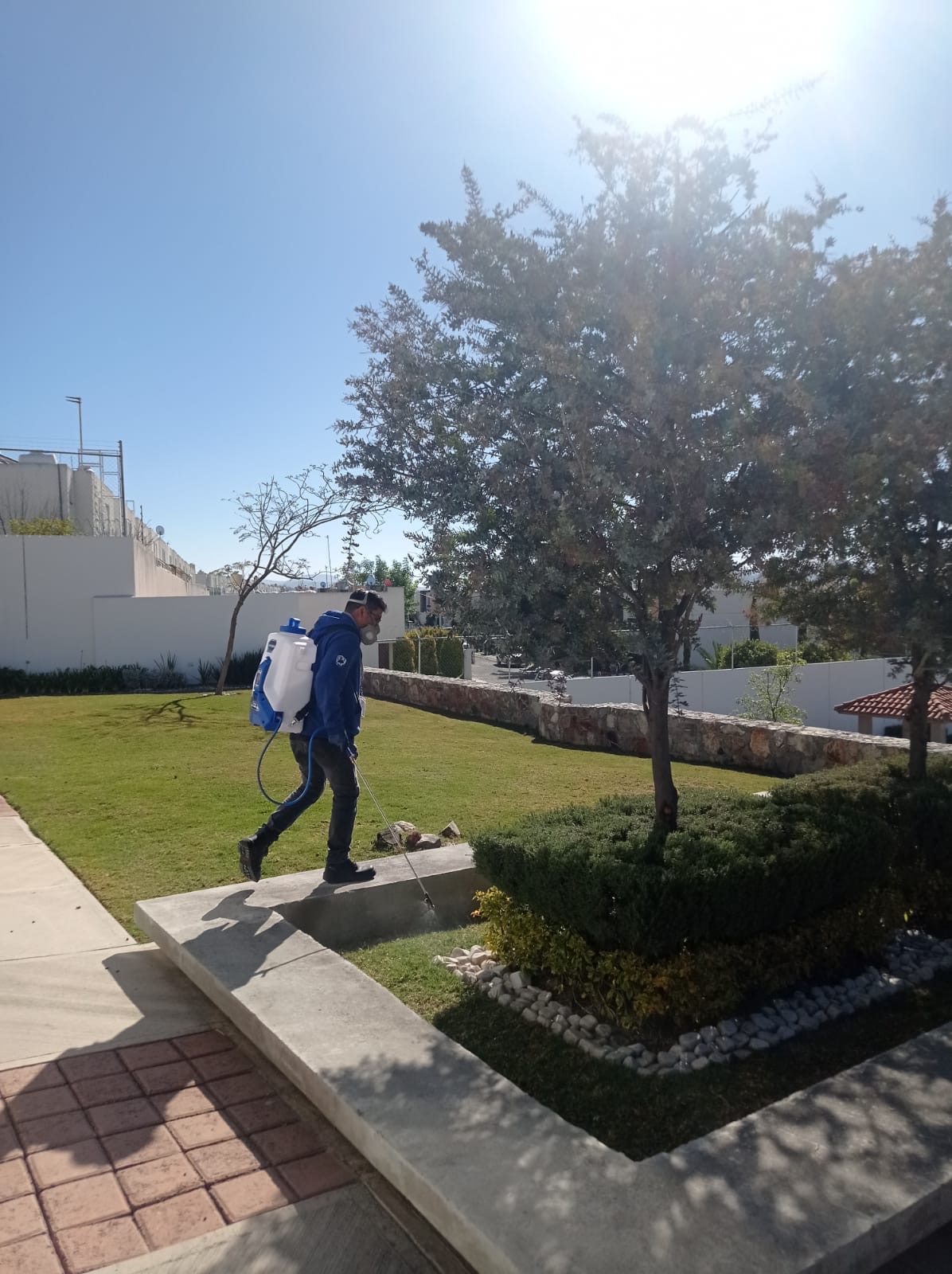 Fumigación jardín y terraza Puebla