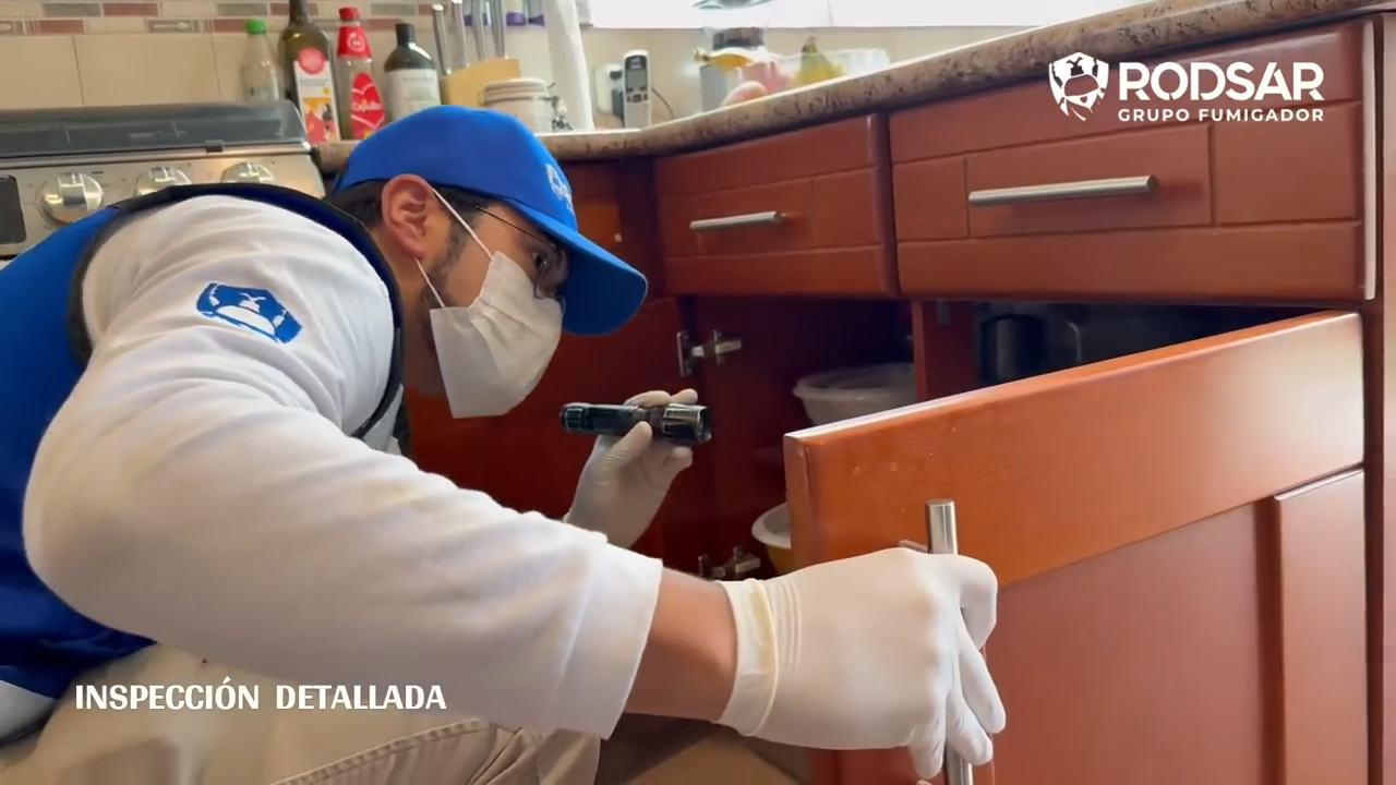 Servicio Cucarachas