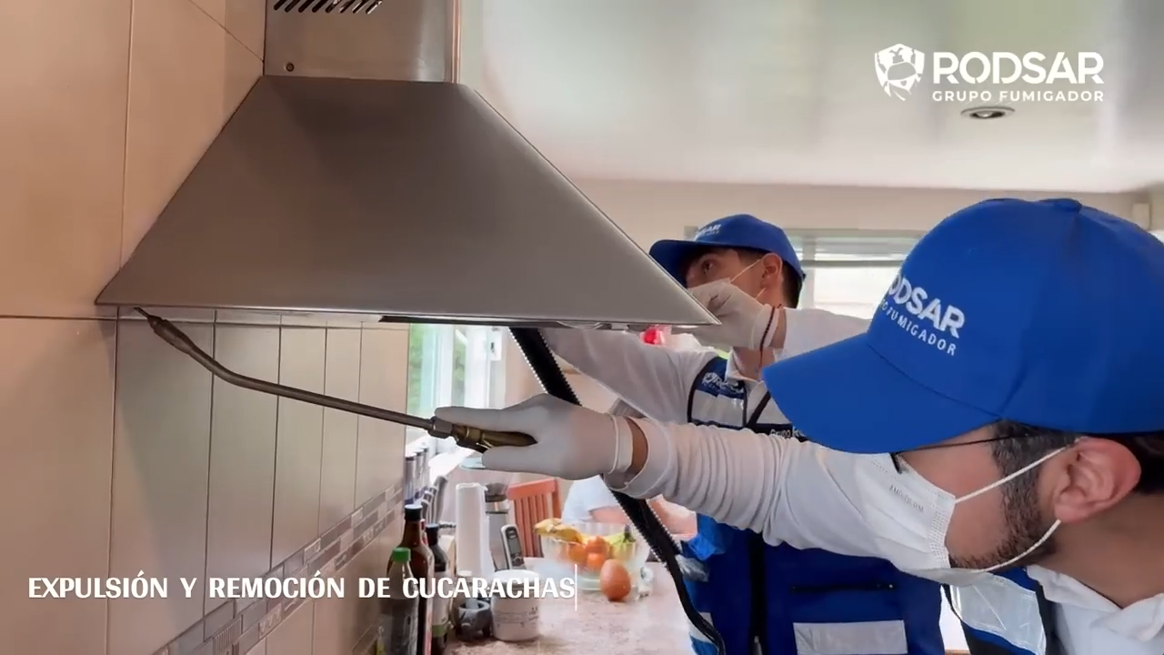 Servicio Cucarachas