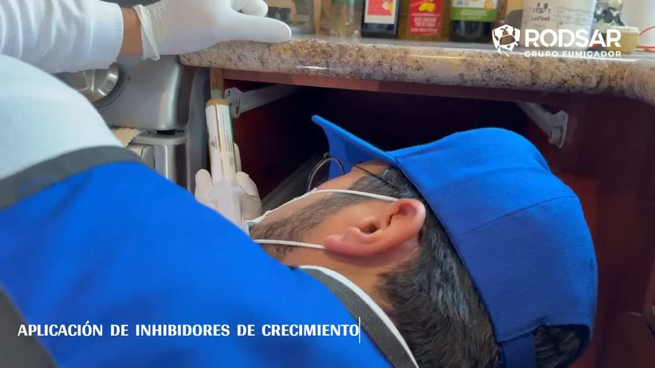 Servicio Cucarachas