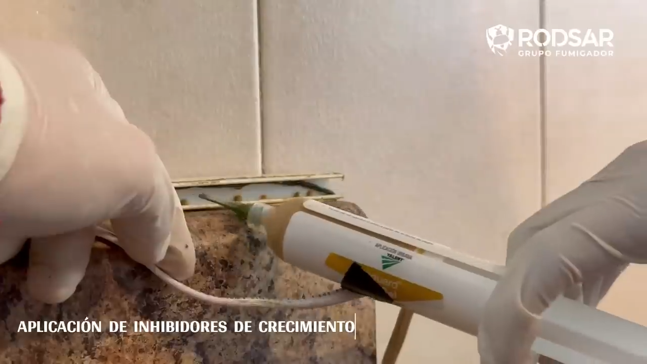 Servicio Cucarachas
