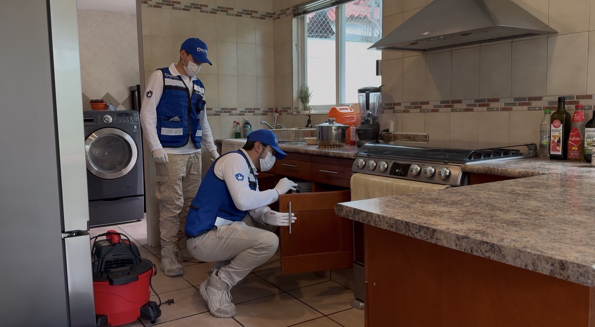 Fumigaci&oacute;n de Cucarachas en Puebla